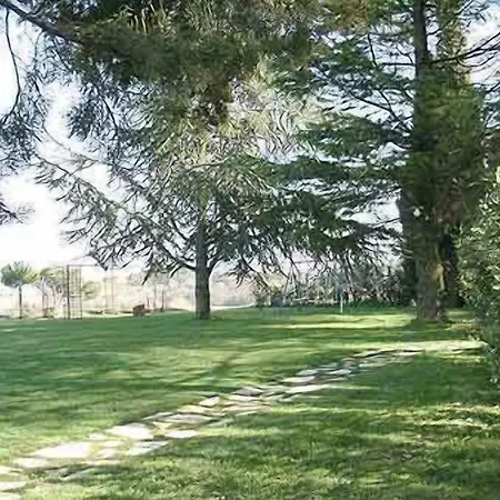 Frateria Di San Benedetto *