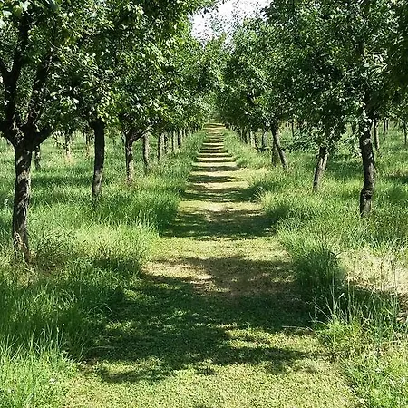 Alloggio per agriturismo Frateria Di San Benedetto *