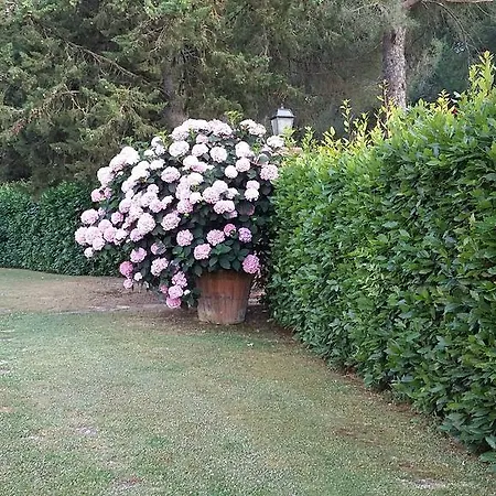 Alloggio per agriturismo Frateria Di San Benedetto